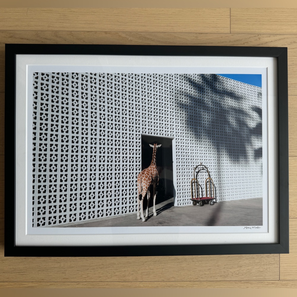 Gray Malin White, Black, Blue & Brown Architectural Giraffe Print